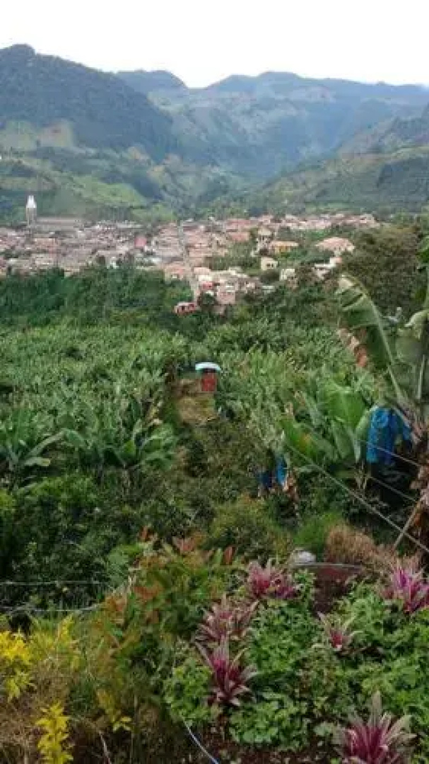 La Tángara hostal rural