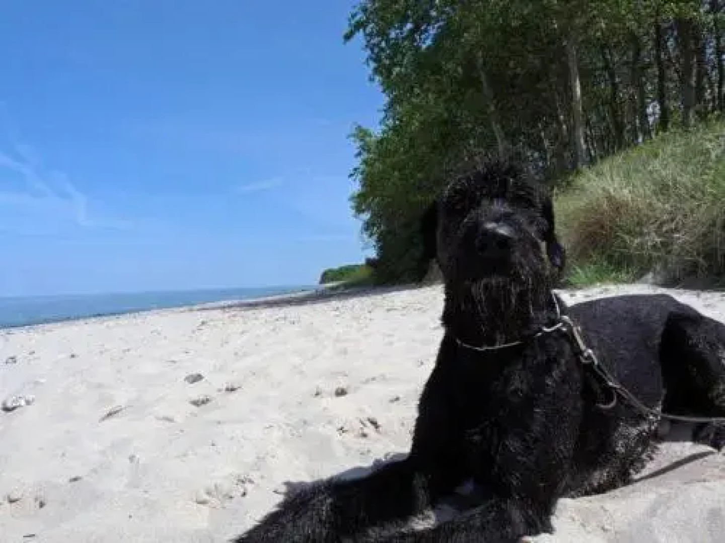 Ferienwohnung Am Hof Stieten