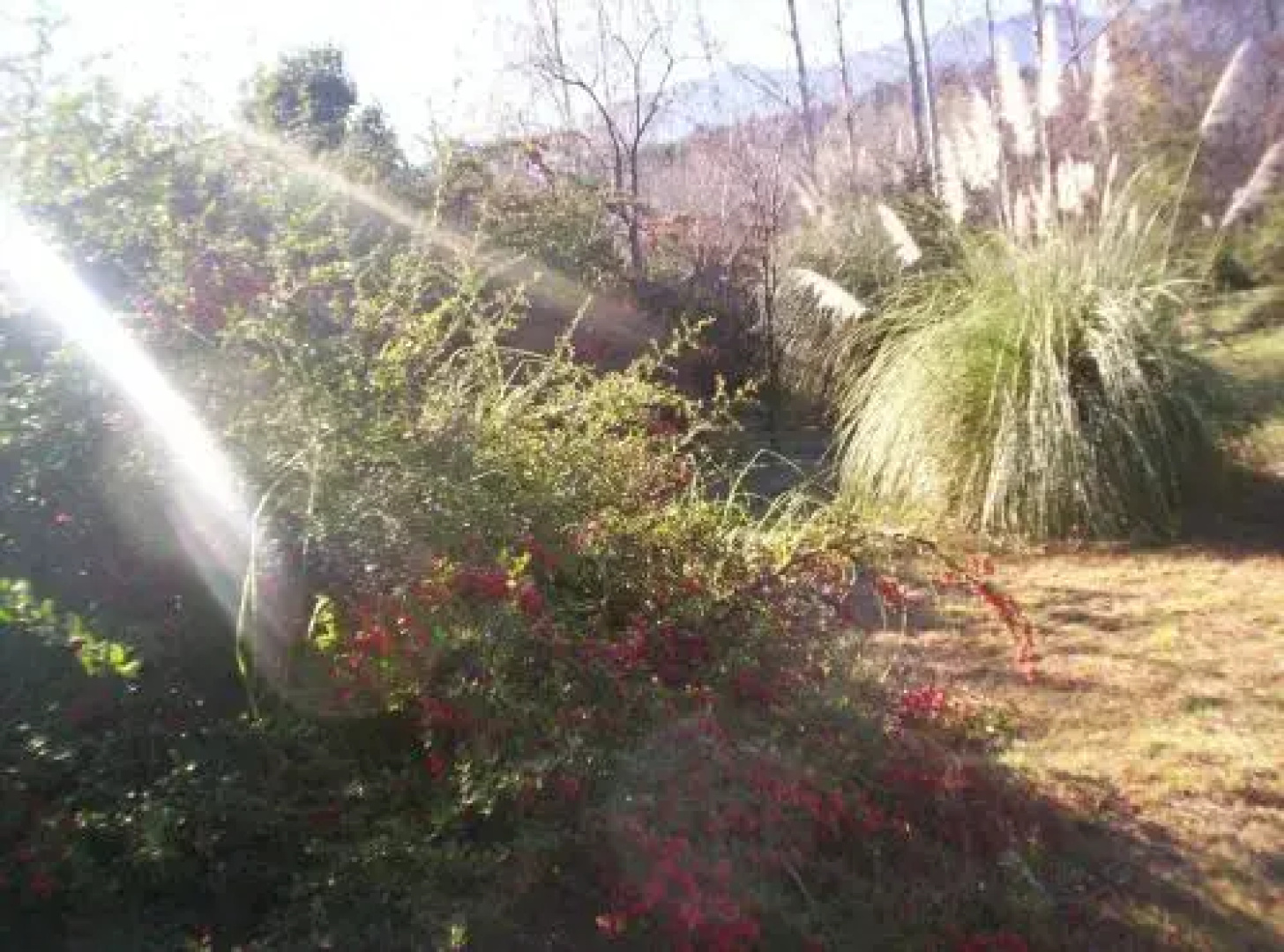 Hostería Rural Monte Bérico