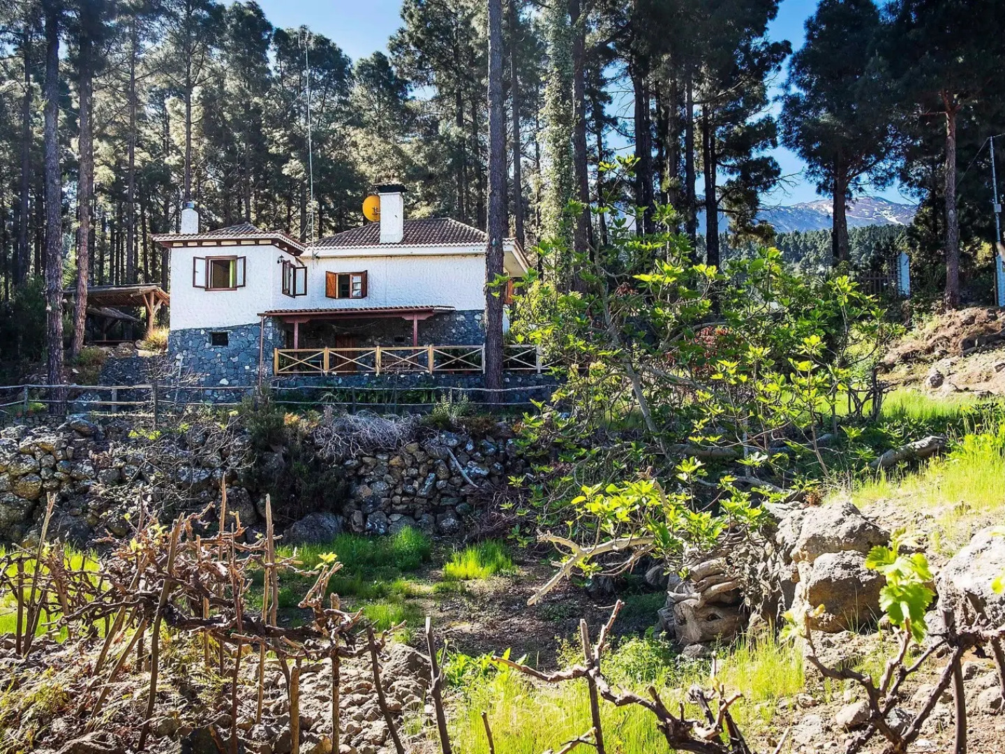 Authentic Holiday Home Full of Character, With Lots of Privacy and Stunning View