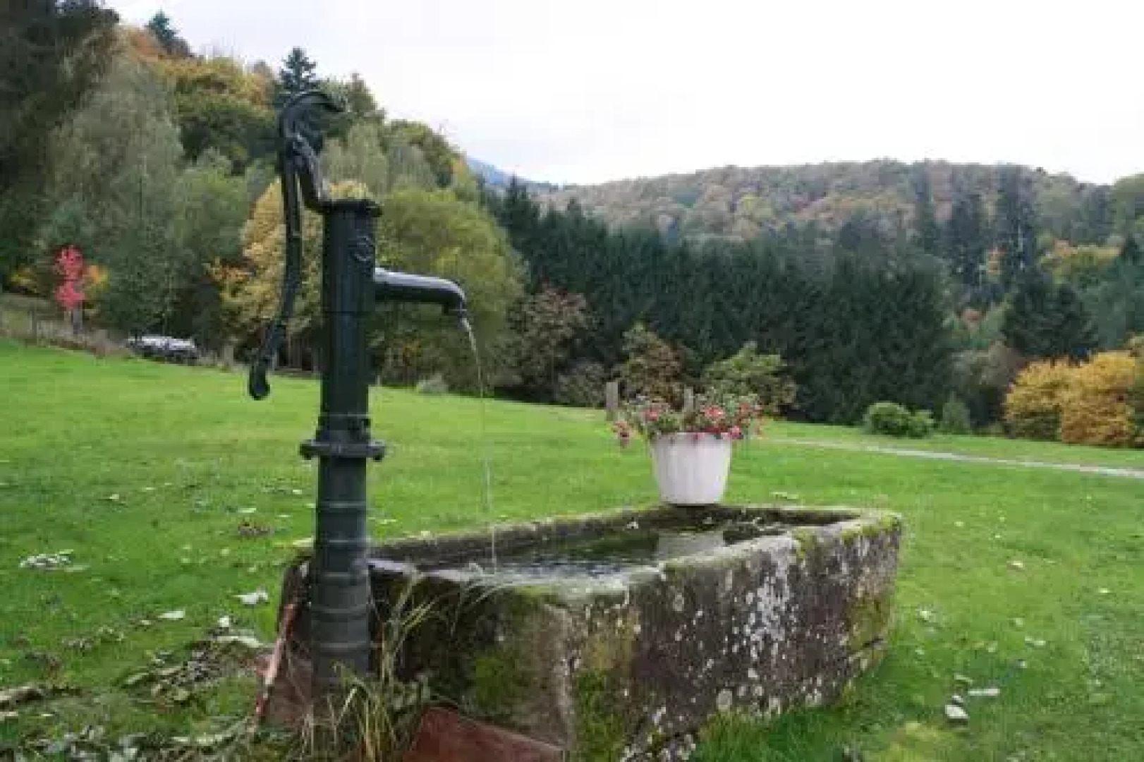 À L'Orée du Bois