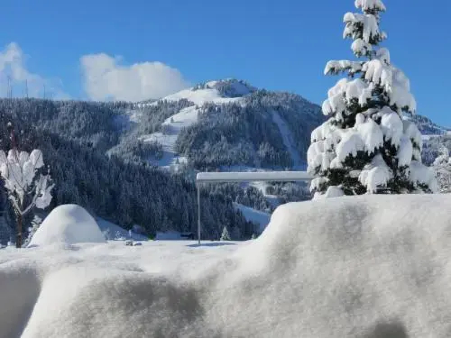 Chalet Gypaète La Clusaz