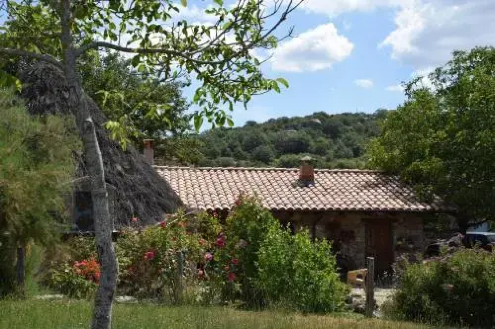 Agriturismo Su Pinnettu