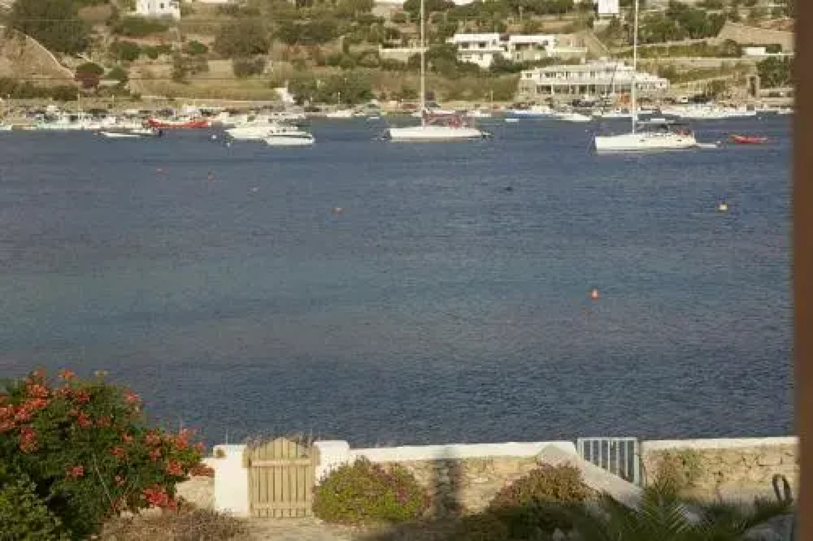 Pursue Your Day Dreams