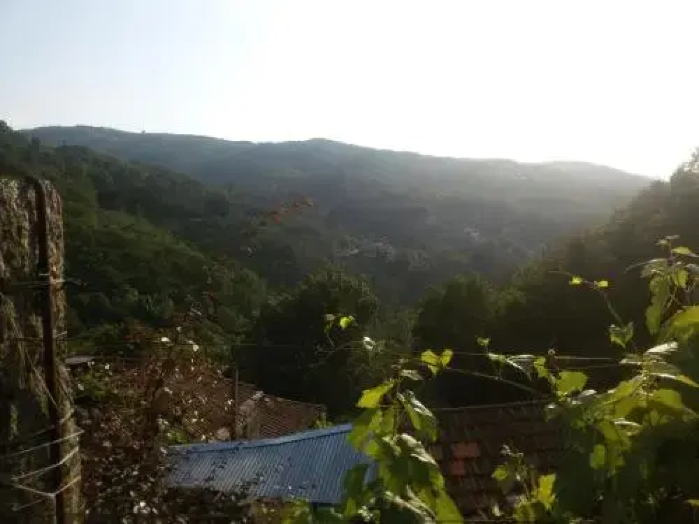 Quinta Encosta do Marao