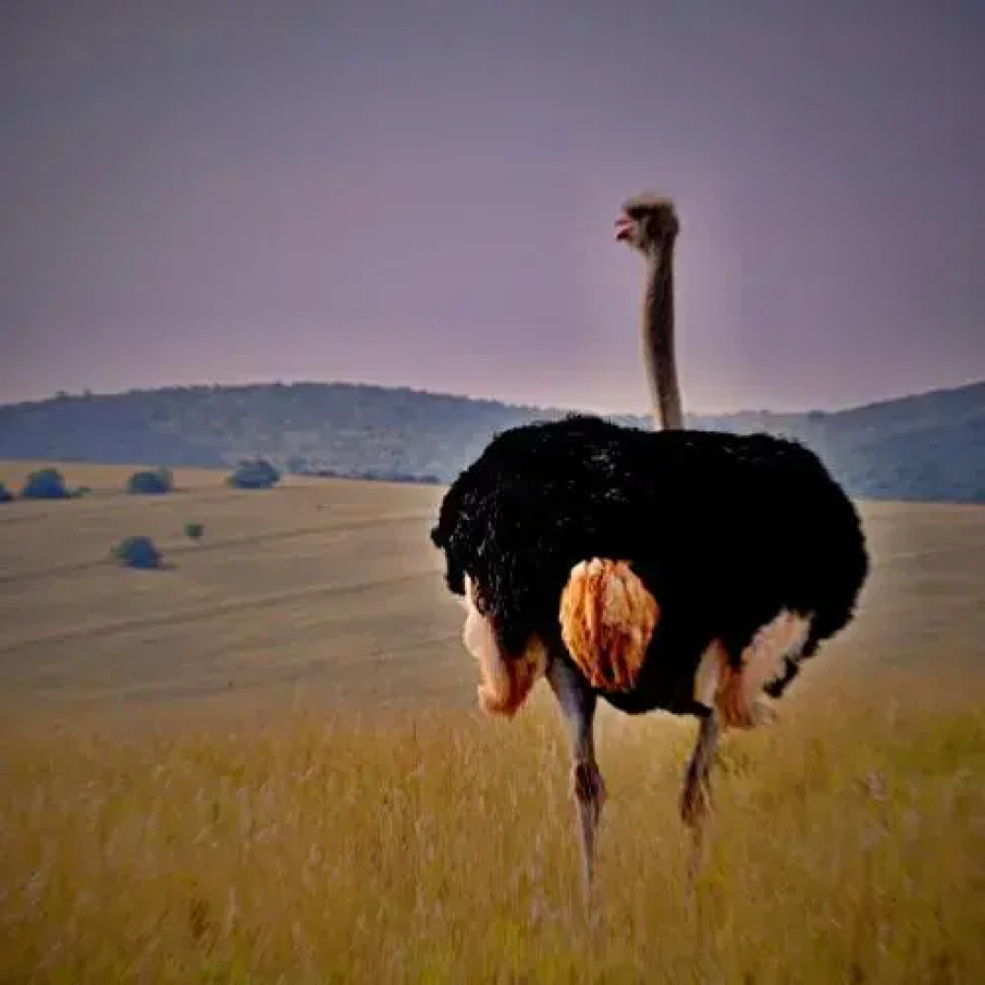 Umlambo Bed & Breakfast