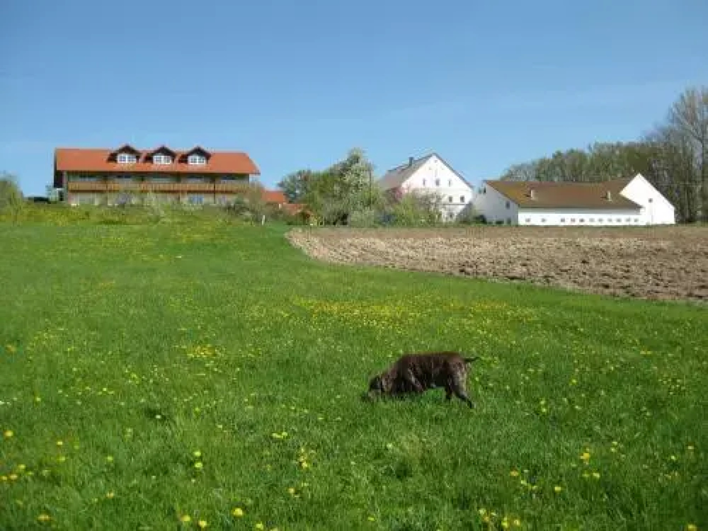 Ferienhof Rieger
