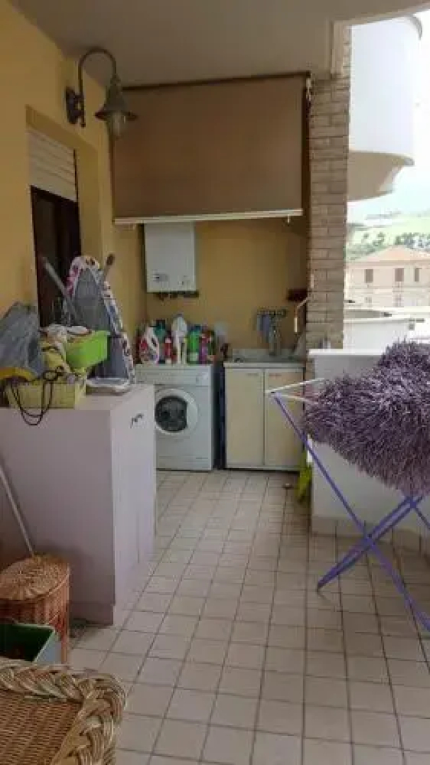 Pini sul Mare