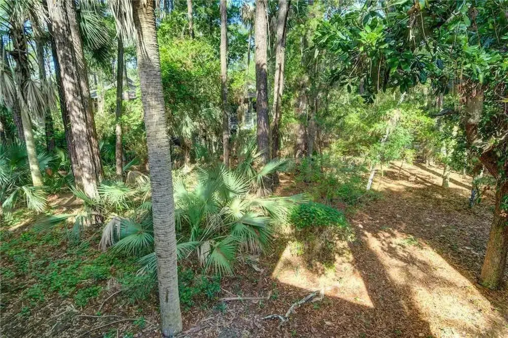 Sparrow Pond 1015 by RedAwning