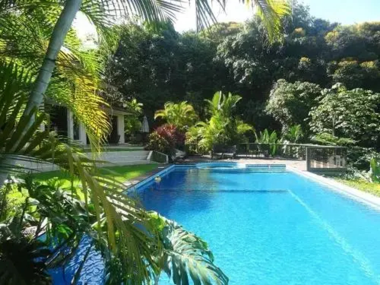 Quinta Heliconia