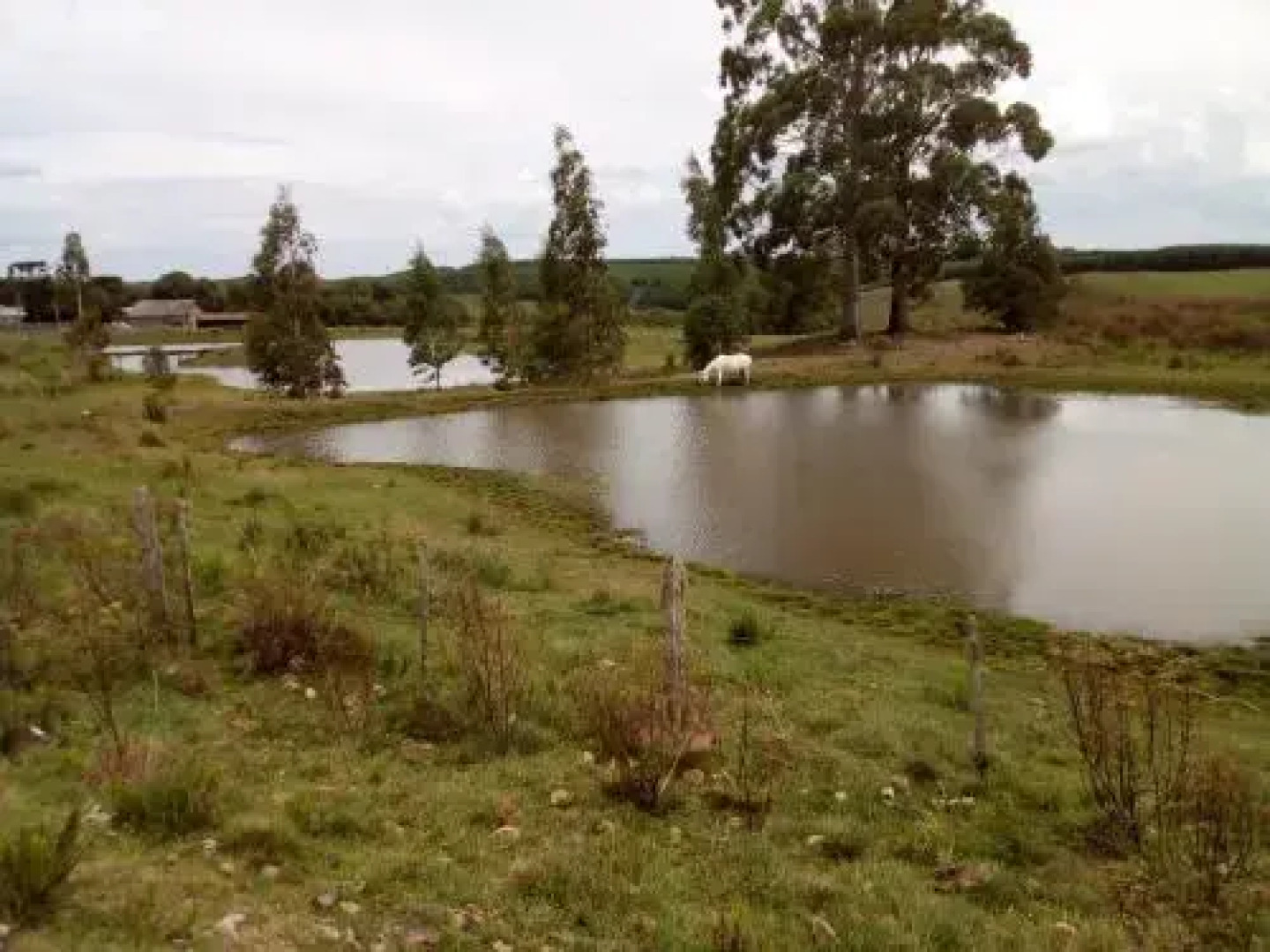 Pousada Fazenda a Casa do Morro