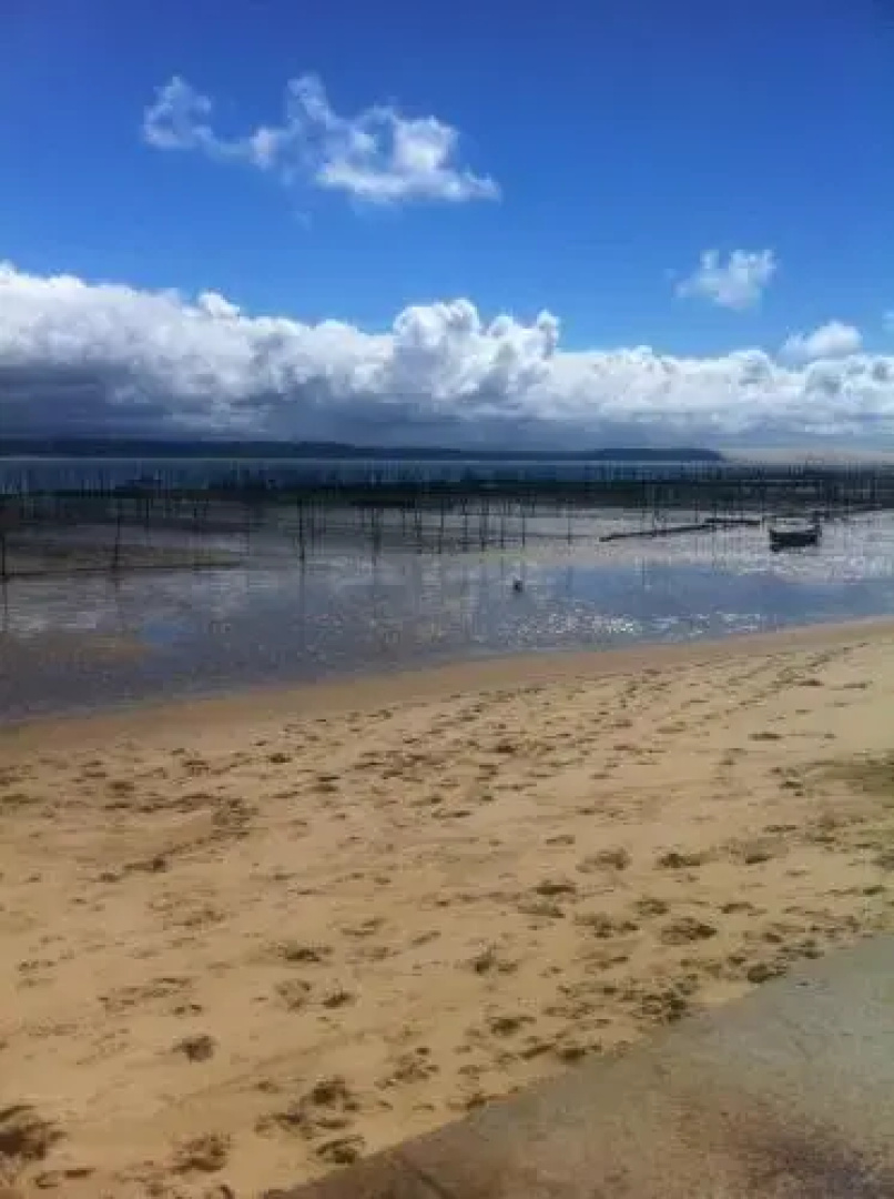 Studio Arcachon