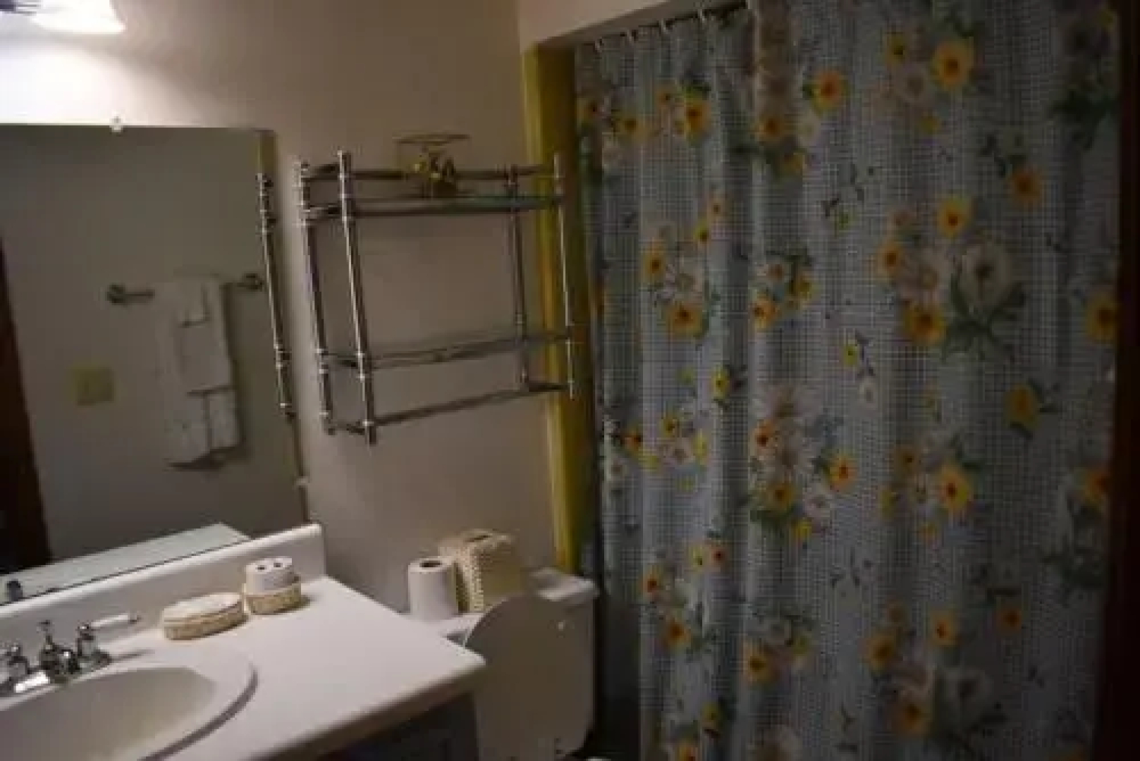 Riverdance on the Toccoa