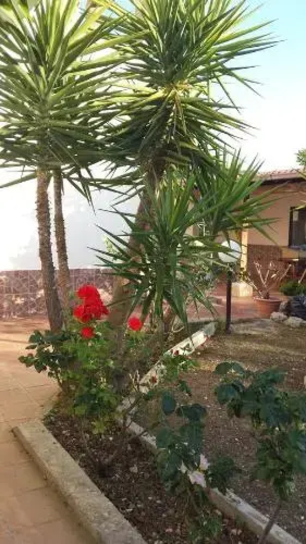 Agriturismo Azzarone