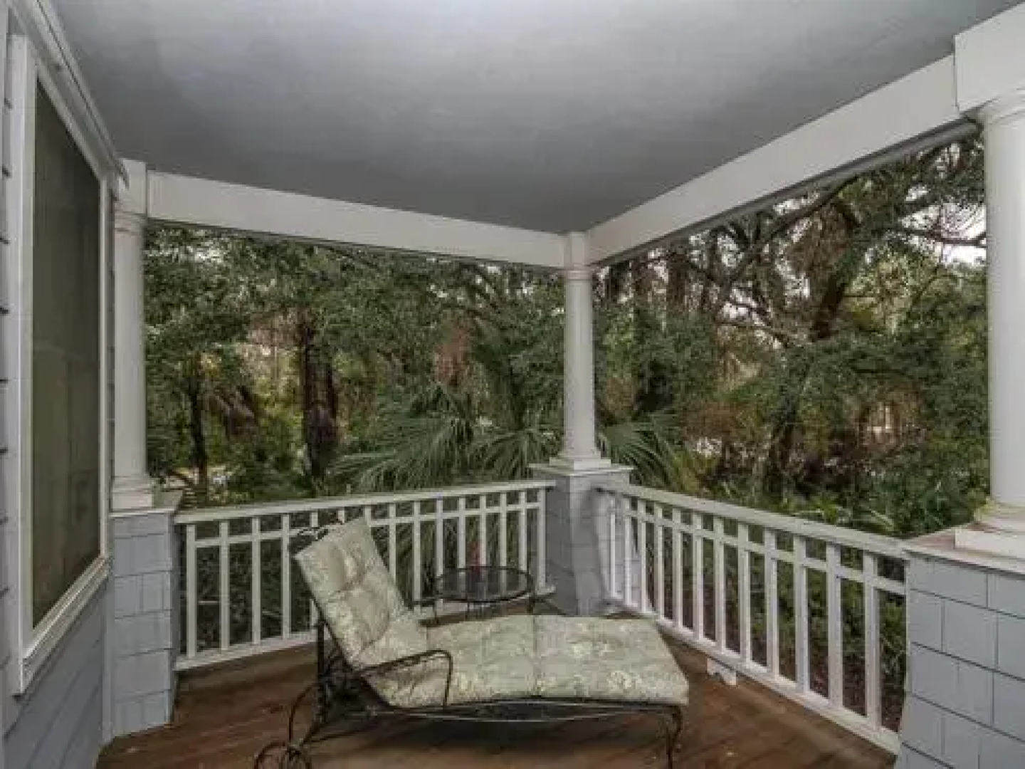 Glossy Ibis 768 by RedAwning