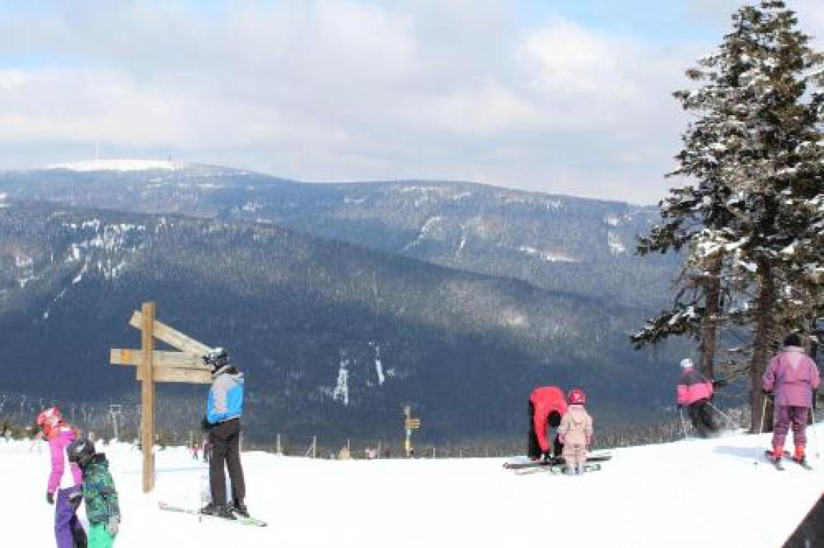 Ferienwohnungen Kolsdorf