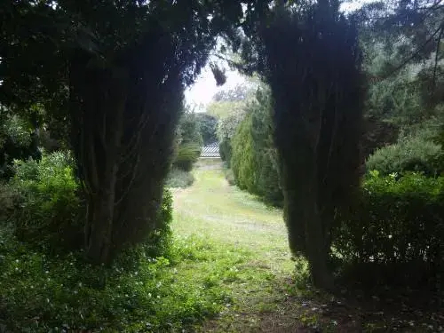 Garden Lucia