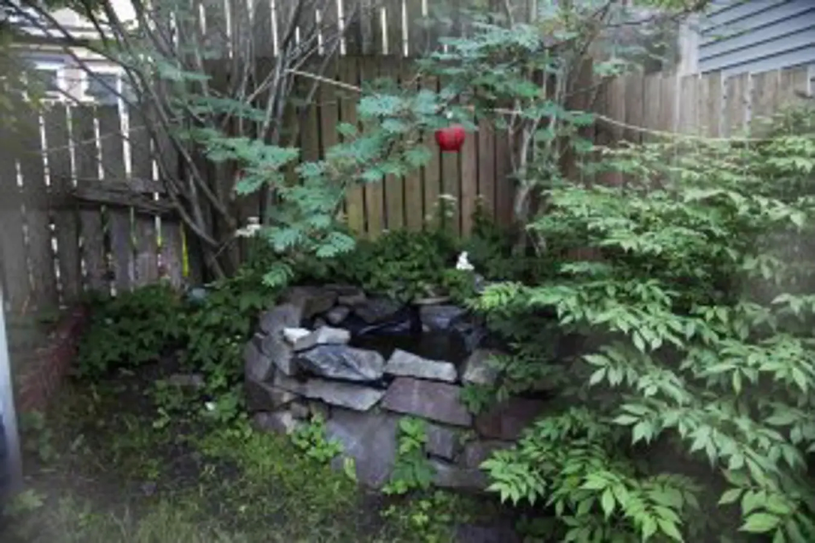 Rice House Vacation Rental