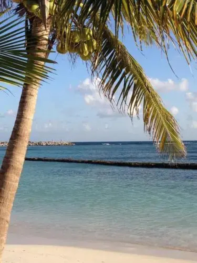 Luxury Poolside Condo