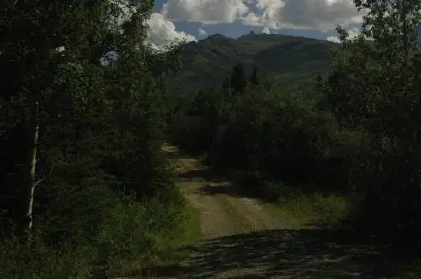 Denali Nightly House Rentals