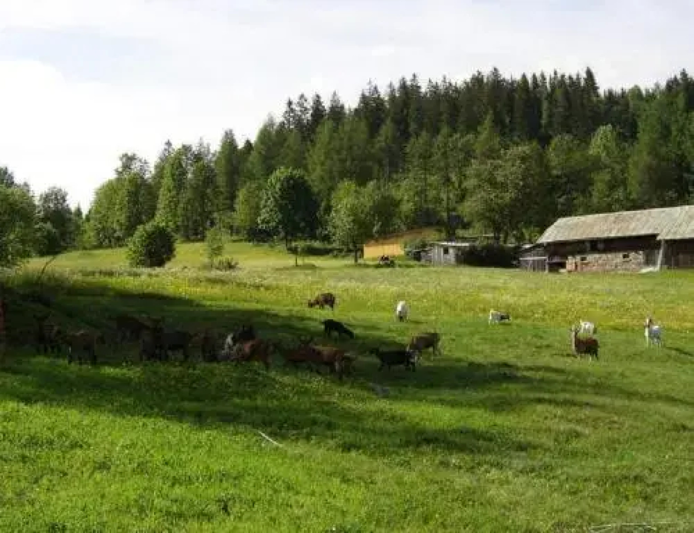 Landhof Steinhütte