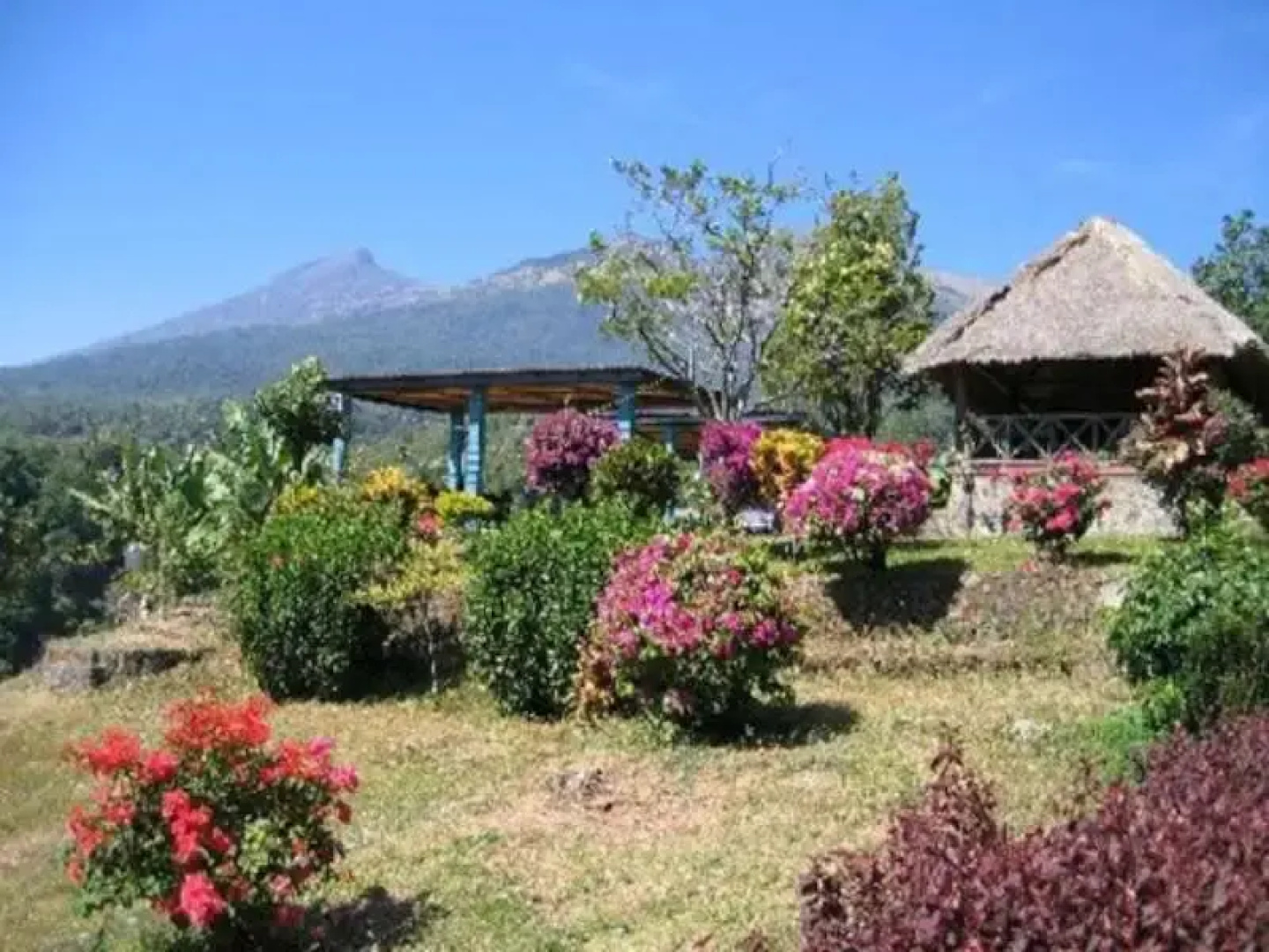 Pondok Senaru Lombok