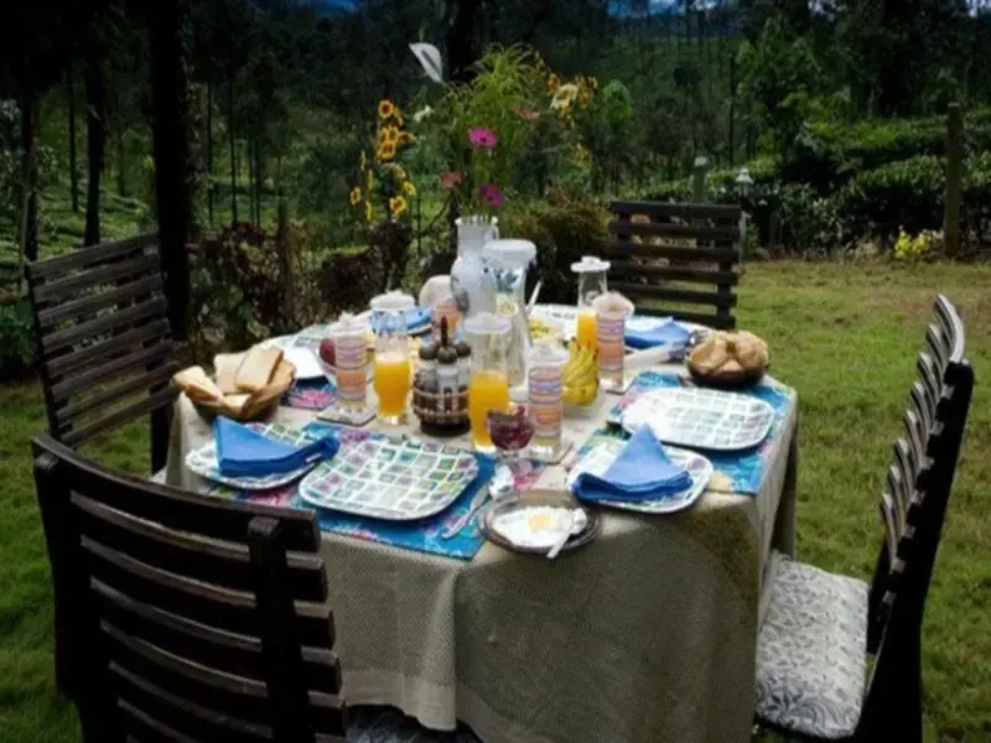 Amberina Homestay - Gudalur