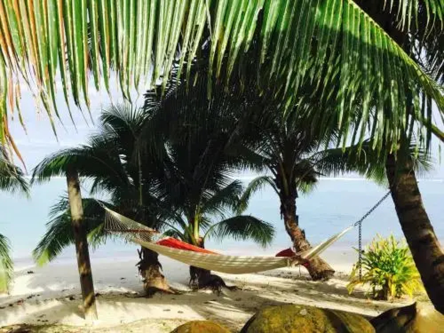 Pae Moana, Rarotonga