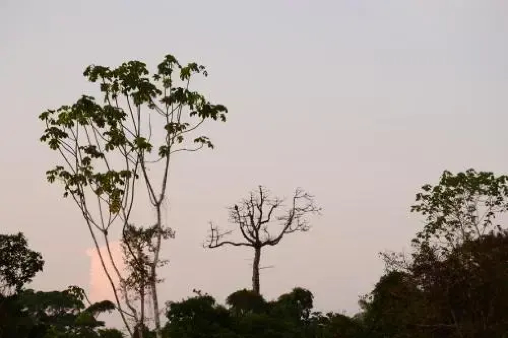 Comunidade do Xingu Camping Site