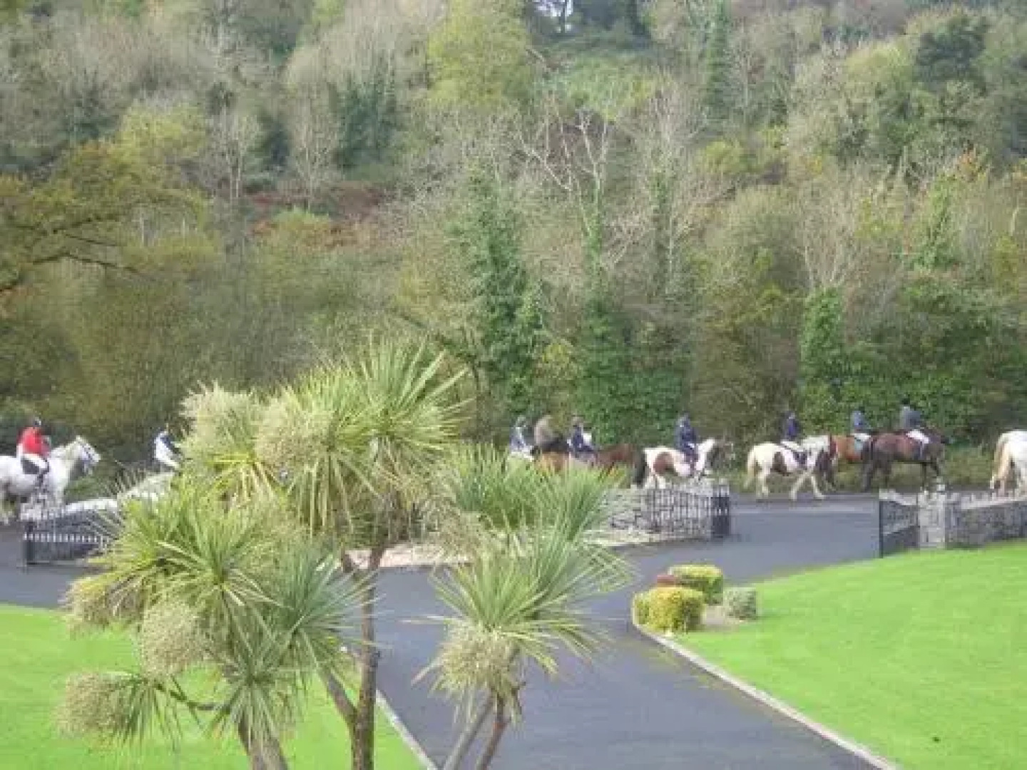 Parkhouse B&B