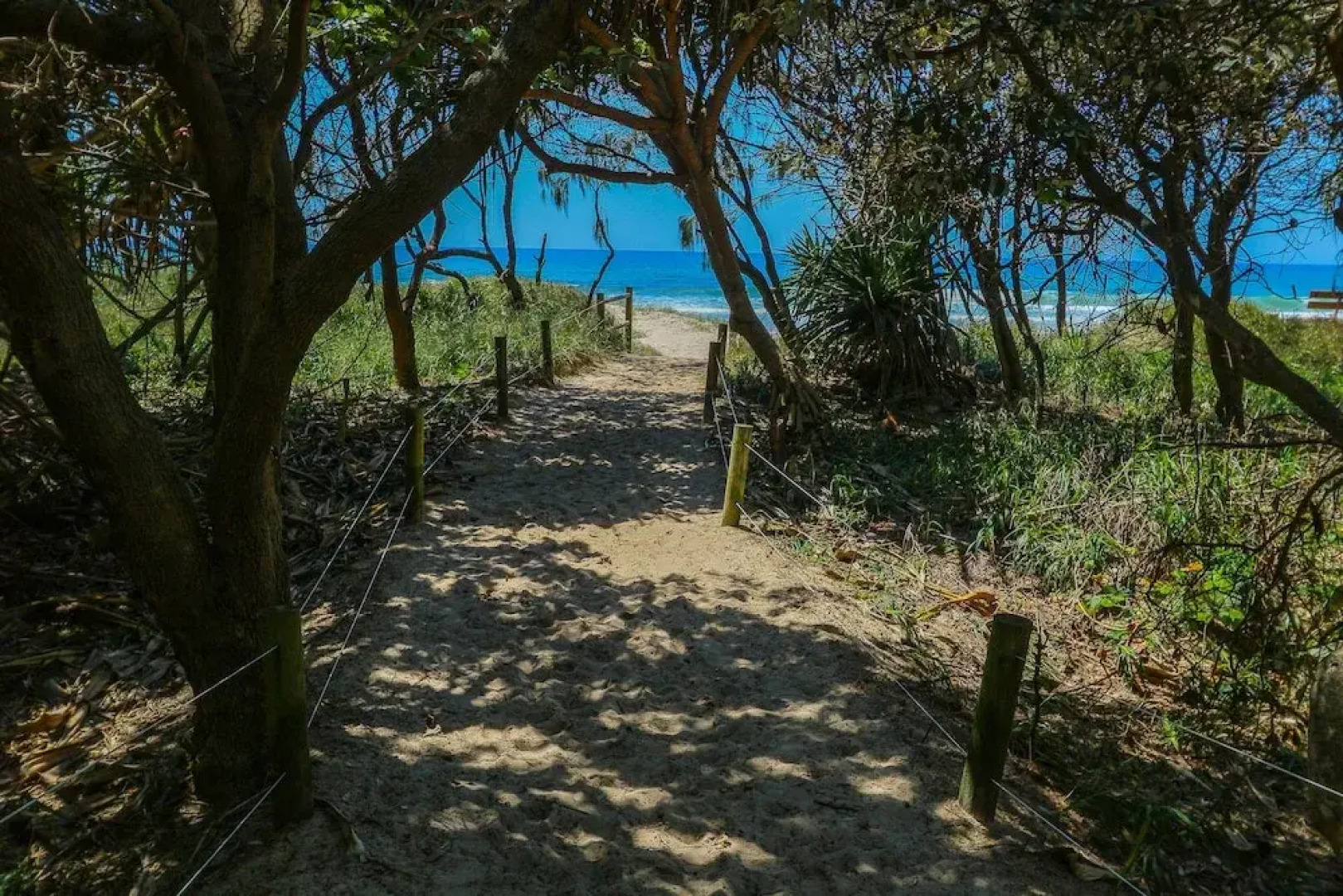 Drift Apartments North Swim Up 6