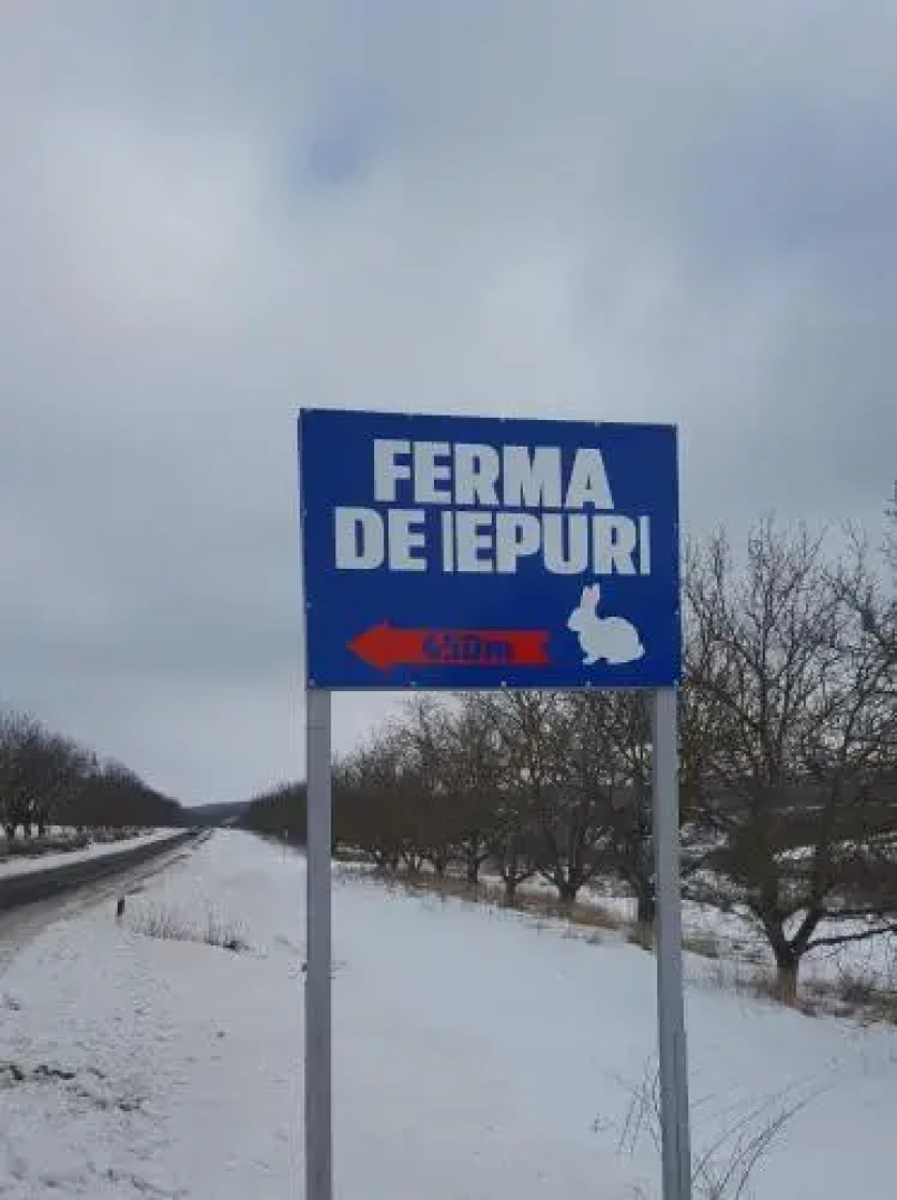 Krolichya ferma