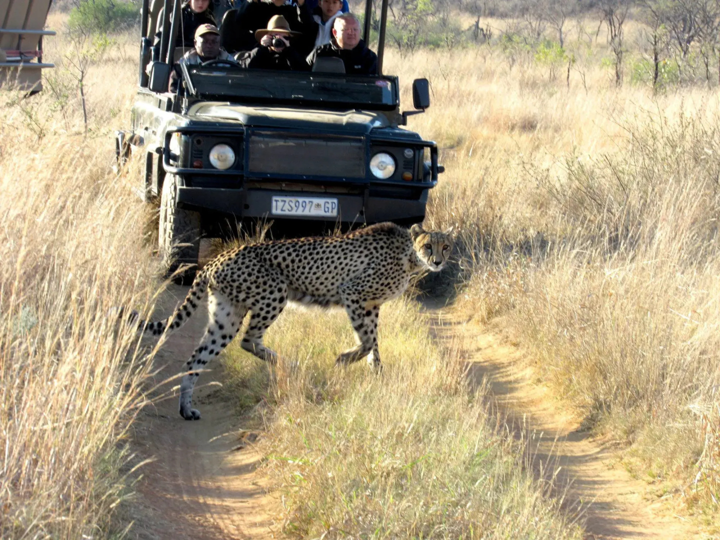 57 Waterberg Lodge