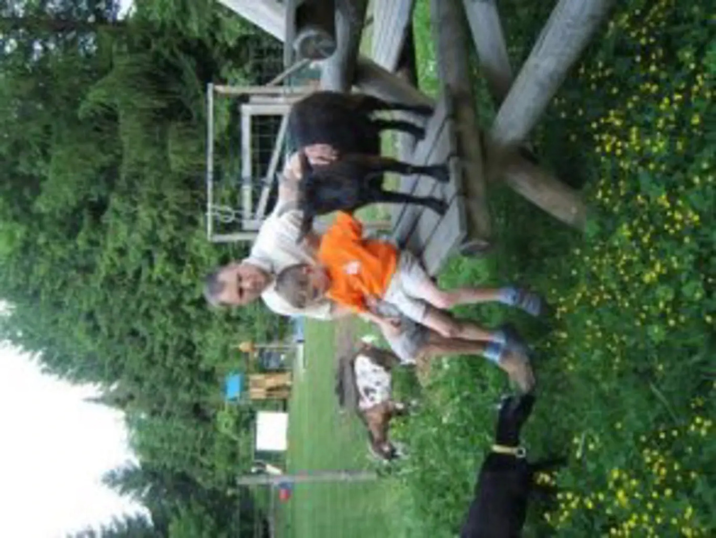 Ferienpension Bergidyll