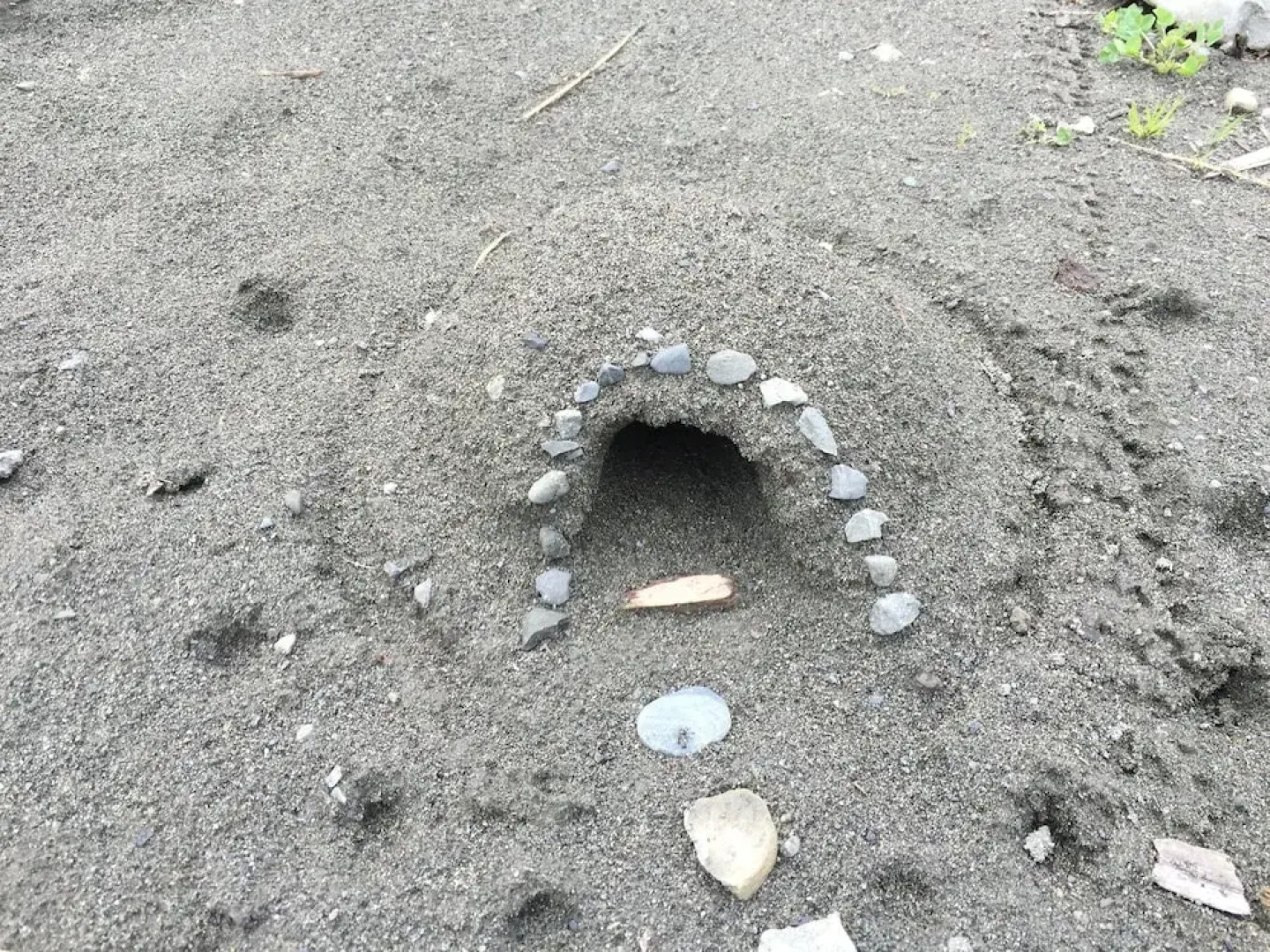 27gs - Bbq - Pets Ok - Wifi - Sleeps 10 3 Bedroom Home by RedAwning