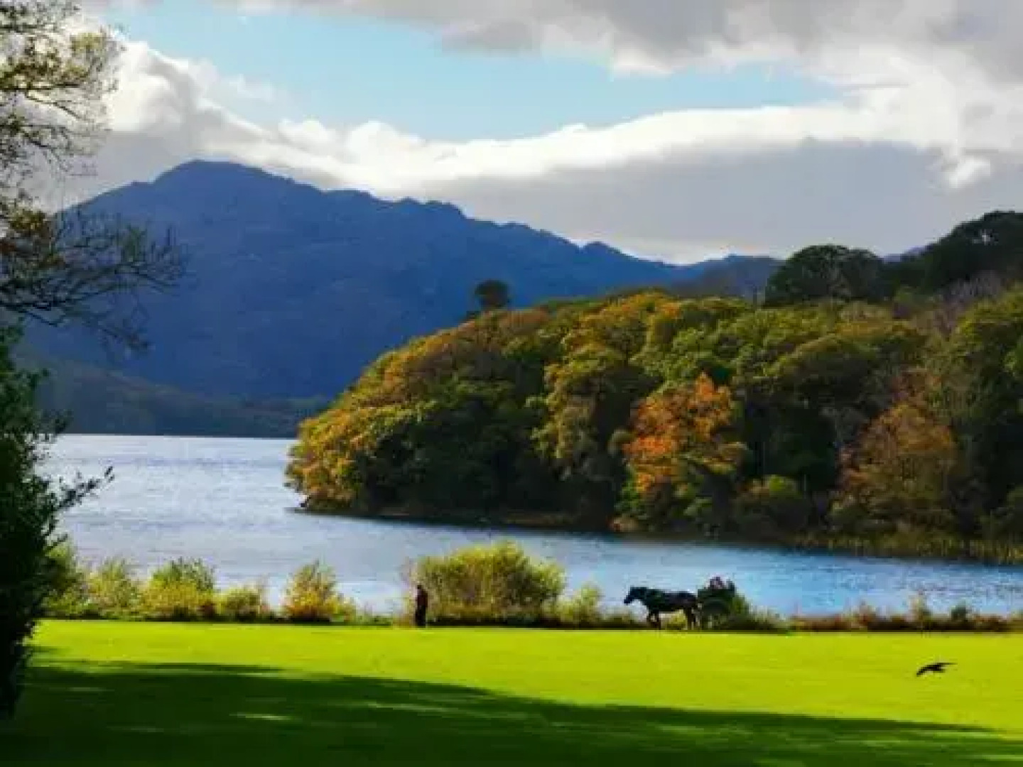 Killarney Holiday Home Luxury by Lakes