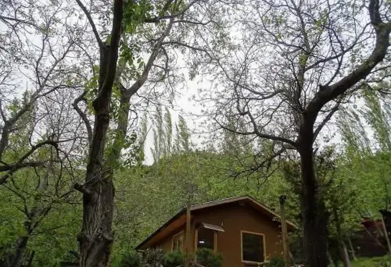 Cabanas el Palomar