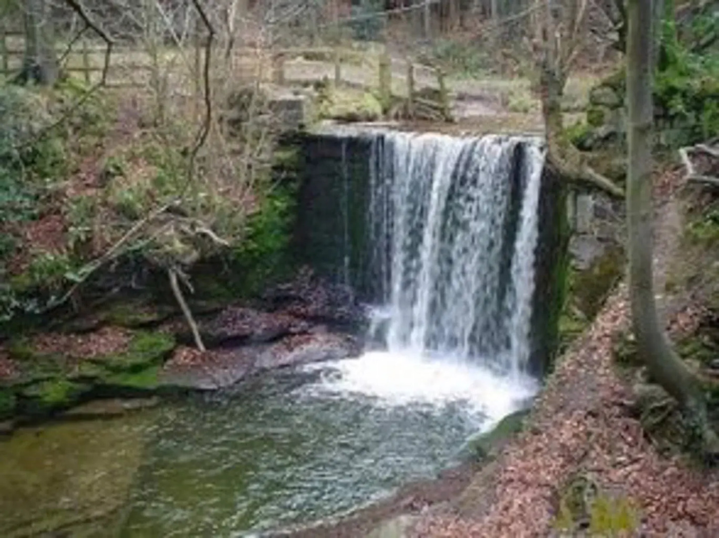 Song of the River B&B