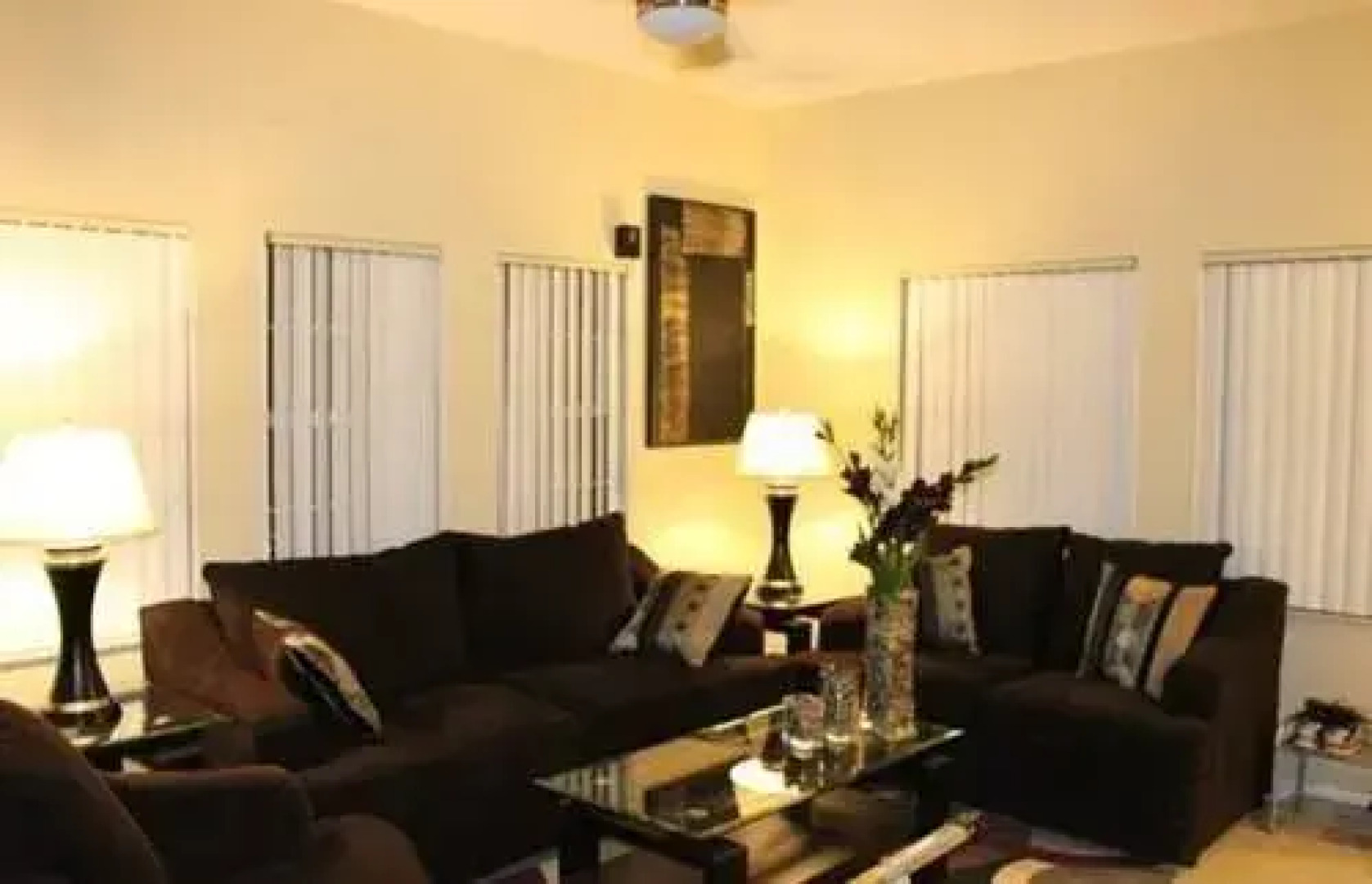 Terra Verde by Contempo