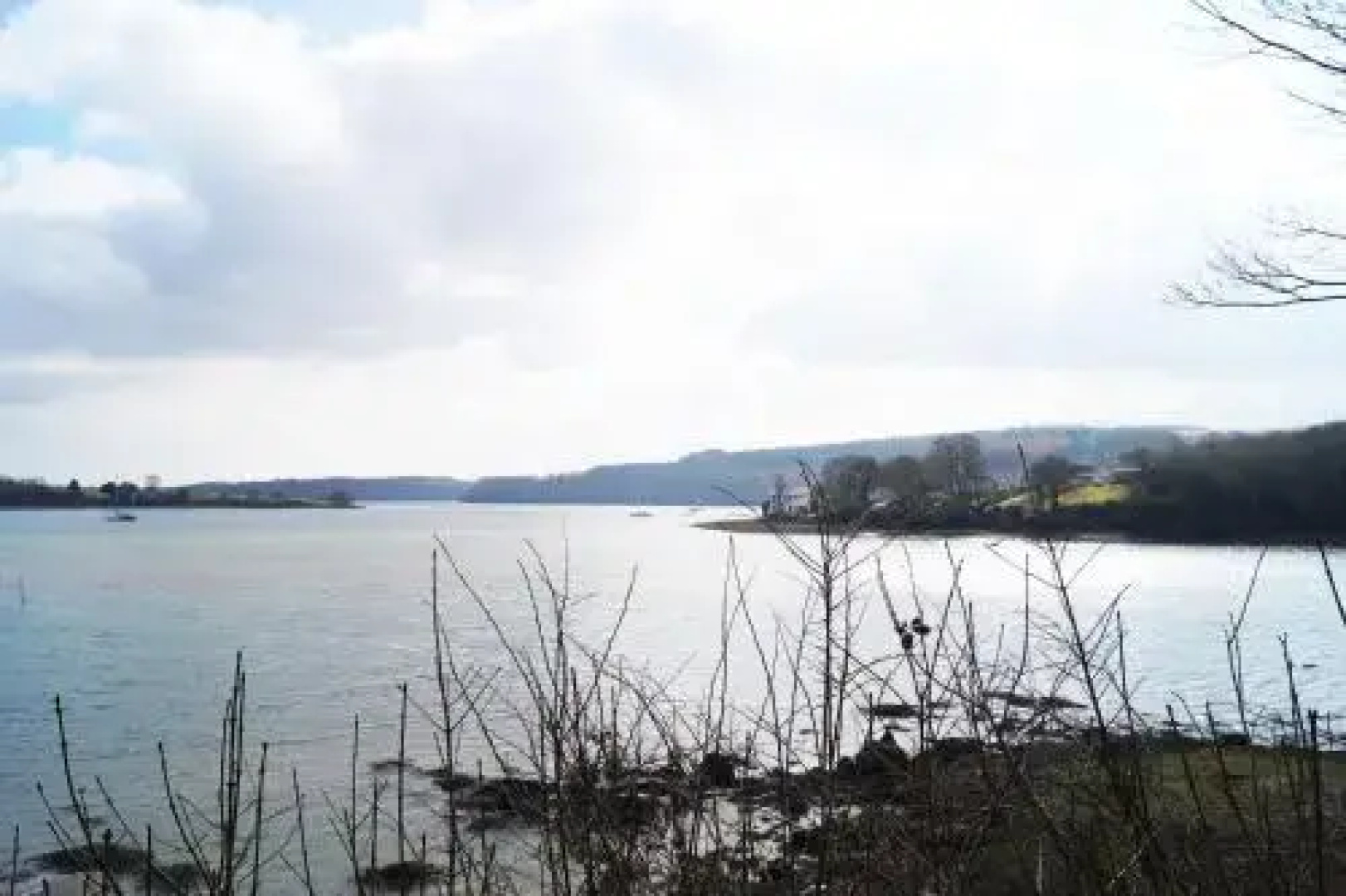 Y Cleddau