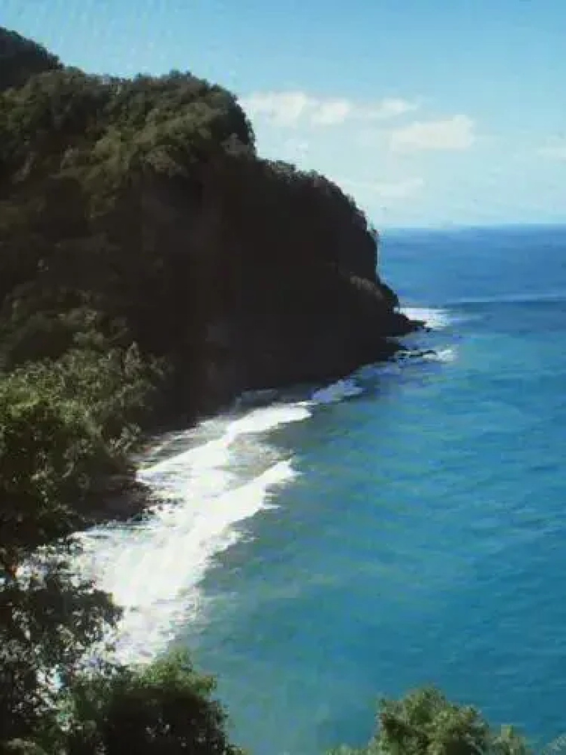 CARRIBBEAN Studio Madicreole au Carbet