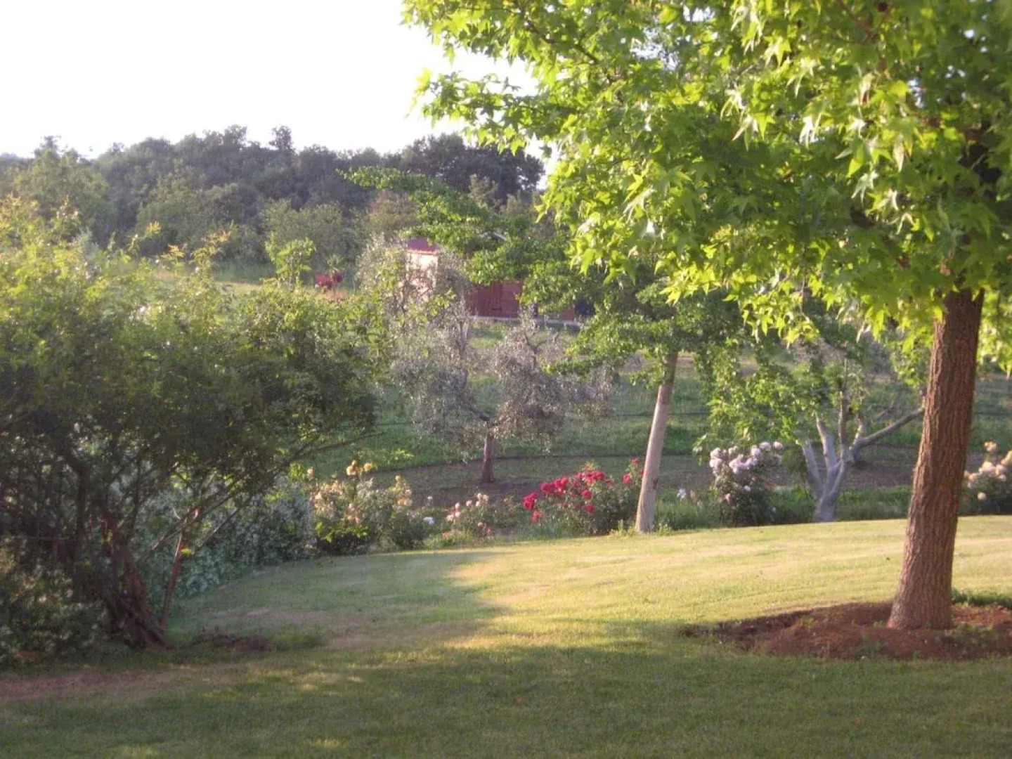 SunCave Gardens Naturist