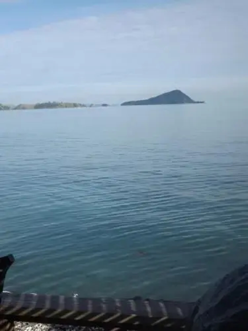 Long Bay Motor Camp