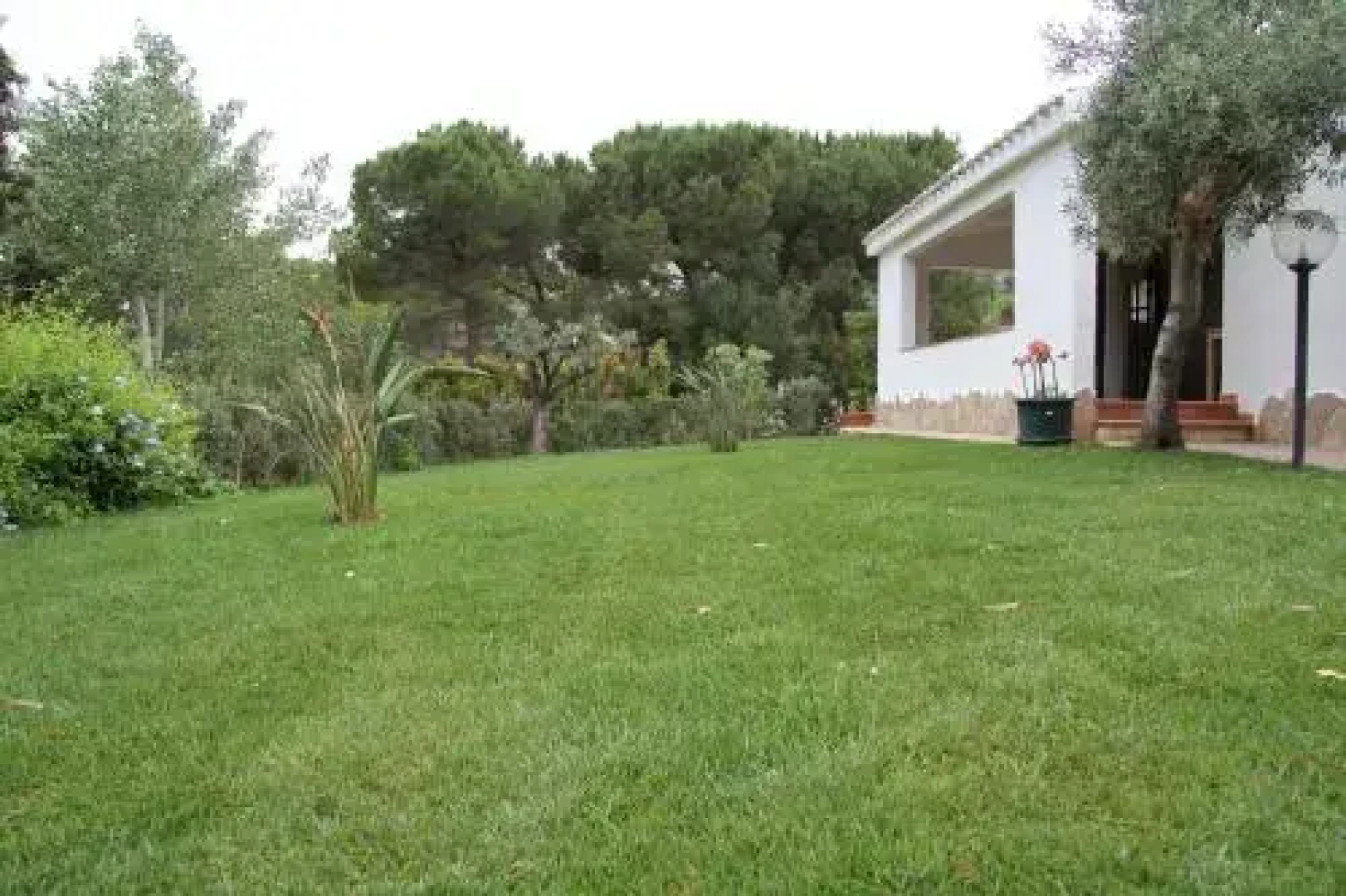 Almà
