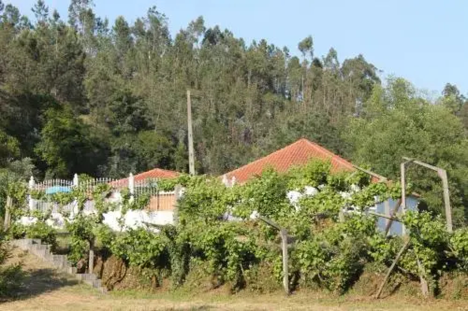 Bed & Breakfast Lagar do Rio