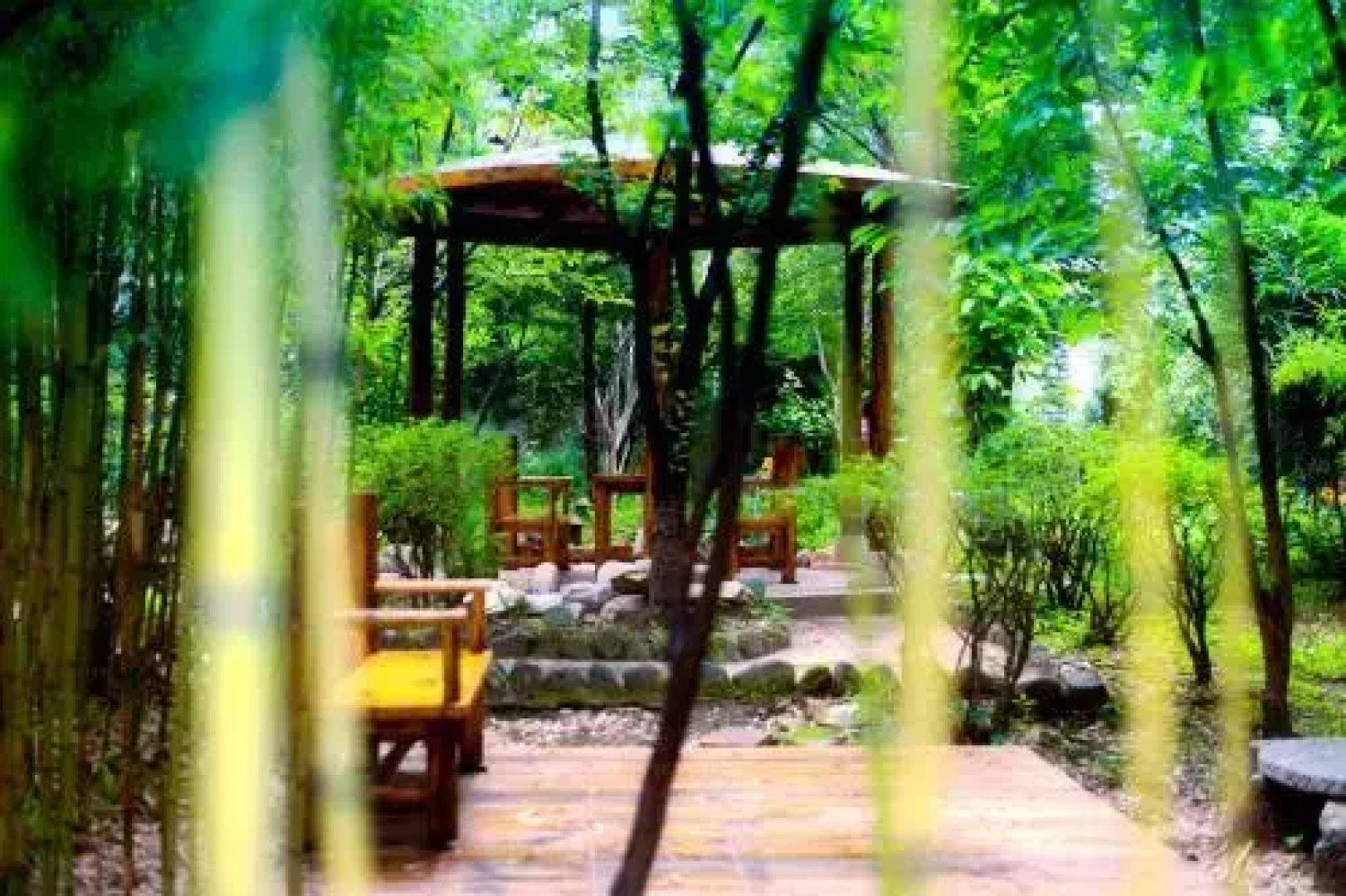 Dali Photography Theme Hostel