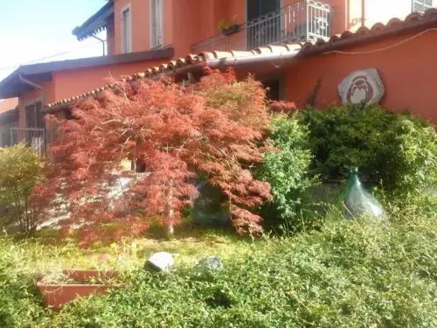 Villa Palmira