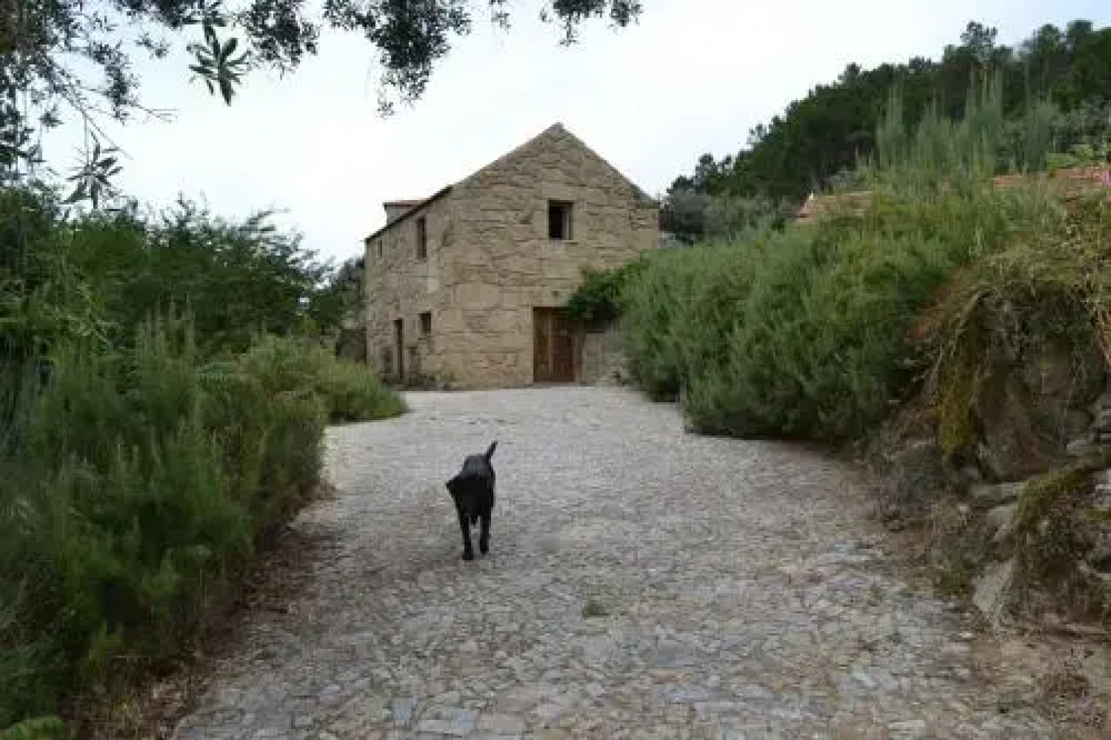 Quinta das Lamas e Salgueirinhos