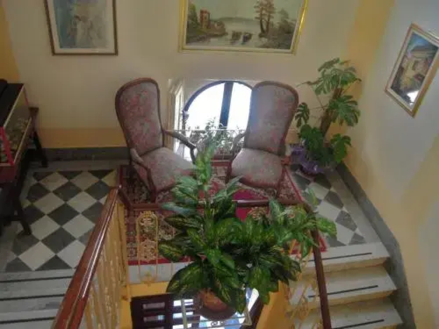 Villa Viola