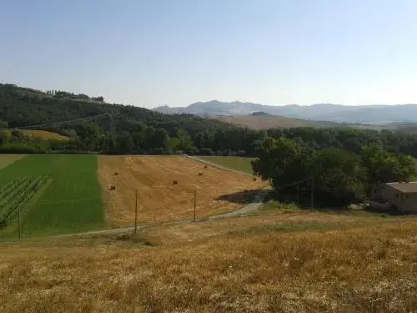 Agriturismo Podere Bellosguardo